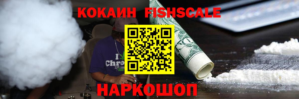 Cocaine FishScale Железногорск