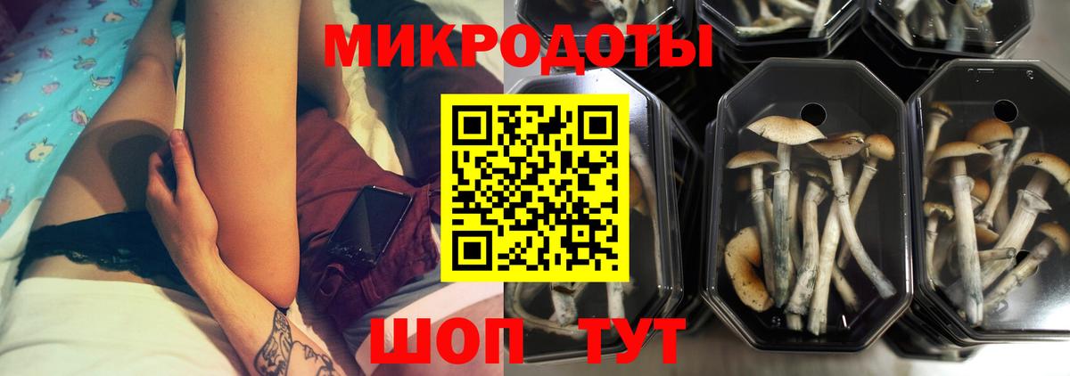 где можно купить наркотик  Галлюциногенные грибы GOLDEN TEACHER  Вход с VPN  Железногорск 